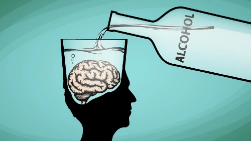 alcohol brain