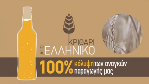 athenian barley