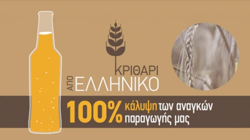 greek barley