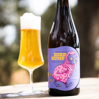 jester king bird bump